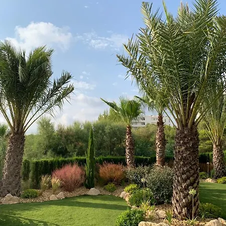 Apartamento Colinas Golf - Naranjo 60 Penthouse Dehesa de Campoamor (Orihuela Costa)